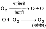 Bihar Board Class 10 Science Solutions Chapter 15 हमारा पर्यावरण 