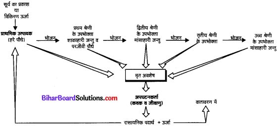Bihar Board Class 10 Science Solutions Chapter 15 हमारा पर्यावरण 