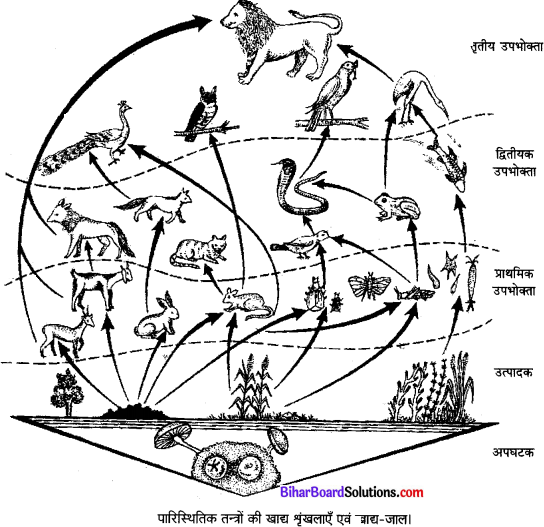 Bihar Board Class 10 Science Solutions Chapter 15 हमारा पर्यावरण 
