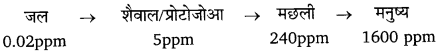 Bihar Board Class 10 Science Solutions Chapter 15 हमारा पर्यावरण 