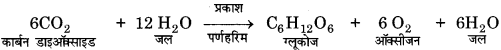 Bihar Board Class 10 Science Solutions Chapter 15 हमारा पर्यावरण 