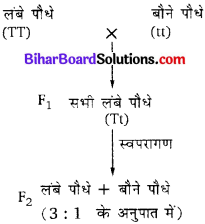 Bihar Board Class 10 Science Solutions Chapter 9 अनुवांशिकता एवं जैव विकास