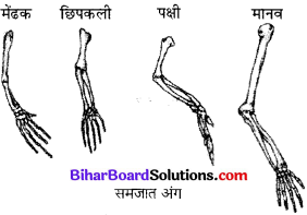 Bihar Board Class 10 Science Solutions Chapter 9 अनुवांशिकता एवं जैव विकास