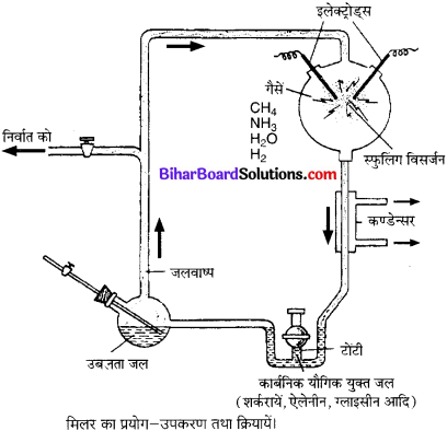 Bihar Board Class 10 Science Solutions Chapter 9 अनुवांशिकता एवं जैव विकास