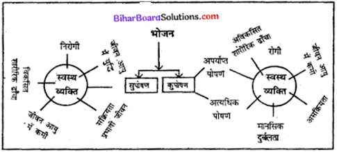 Bihar Board Class 11 Home Science Solutions Chapter 10 आहार, पोषण तथा स्वास्थ्य परिभाषा एवं संबंध 