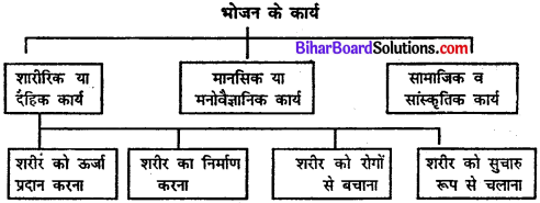 Bihar Board Class 11 Home Science Solutions Chapter 11 भोजन के कार्य 