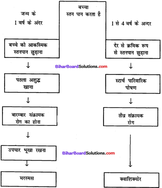 Bihar Board Class 11 Home Science Solutions Chapter 12 उचित पोषण एवं उत्तम स्वास्थ्य के लिए खाद्य पदार्थों का चयन 