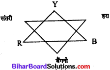 Bihar Board Class 11 Home Science Solutions Chapter 16 समय व ऊर्जा का व्यवस्थापन 