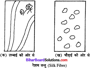 Bihar Board Class 11 Home Science Solutions Chapter 18 तन्तु विज्ञान 