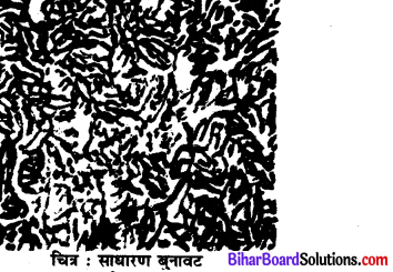 Bihar Board Class 11 Home Science Solutions Chapter 19 कपड़ों का निर्माण