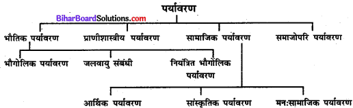 Bihar Board Class 11 Sociology Solutions Chapter 3 पर्यावरण और समाज