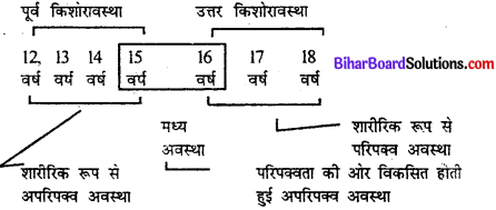 Bihar Board Class 11th Home Science Solutions Chapter 2 किशोरावस्था को समझना 