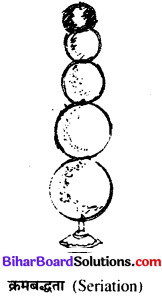 Bihar Board Class 11th Home Science Solutions Chapter 4 किशोरों में ज्ञानात्मक विकास 