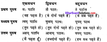 Bihar Board Class 6 Sanskrit Solutions Chapter 4 क्रियापदपरिचय 4