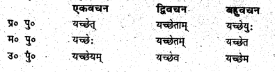 Bihar Board Class 6 Sanskrit व्याकरण धातु-रूपाणि 10
