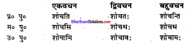 Bihar Board Class 6 Sanskrit व्याकरण धातु-रूपाणि 11