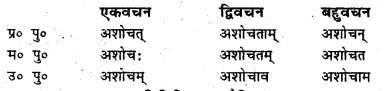 Bihar Board Class 6 Sanskrit व्याकरण धातु-रूपाणि 14