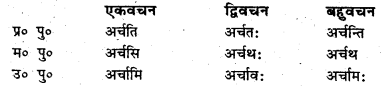 Bihar Board Class 6 Sanskrit व्याकरण धातु-रूपाणि 16