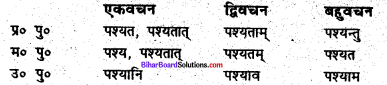 Bihar Board Class 6 Sanskrit व्याकरण धातु-रूपाणि 2