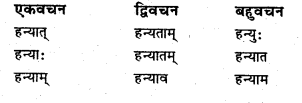 Bihar Board Class 6 Sanskrit व्याकरण धातु-रूपाणि 24