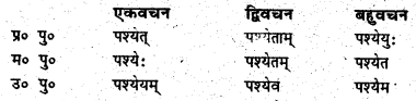 Bihar Board Class 6 Sanskrit व्याकरण धातु-रूपाणि 5