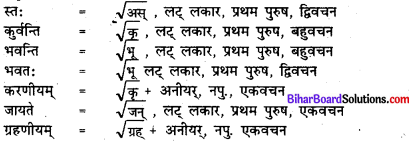 Bihar Board Class 7 Sanskrit Solutions Chapter 10 दिनचर्या 2