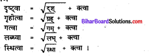 Bihar Board Class 7 Sanskrit Solutions Chapter 11 डॉ. भीमरावः अम्बेदकर 2