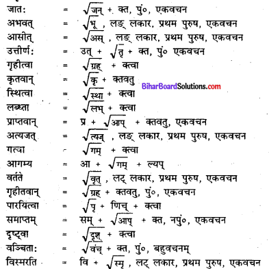 Bihar Board Class 7 Sanskrit Solutions Chapter 11 डॉ. भीमरावः अम्बेदकर 3