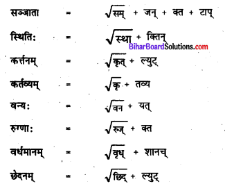 Bihar Board Class 7 Sanskrit Solutions Chapter 12 अरण्यम् 2