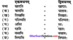 प्रहेलिका कक्षा 7 Bihar Board Chapter 5