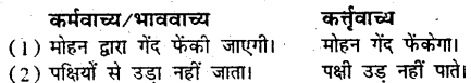 Bihar Board Class 9 Hindi व्याकरण वाच्य परिवर्तन- 5