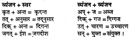 Bihar Board Class 9 Hindi व्याकरण सन्धि - 1
