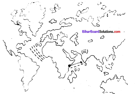 भौगोलिक खोजें Bihar Board Class 9 History