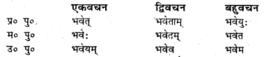 Bihar Board Class 7 Sanskrit व्याकरण धातु-रूपाणि 10