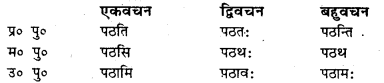 Bihar Board Class 7 Sanskrit व्याकरण धातु-रूपाणि 11