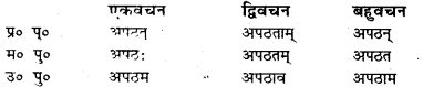 Bihar Board Class 7 Sanskrit व्याकरण धातु-रूपाणि 14