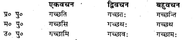 Bihar Board Class 7 Sanskrit व्याकरण धातु-रूपाणि 16