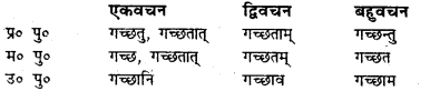 Bihar Board Class 7 Sanskrit व्याकरण धातु-रूपाणि 17