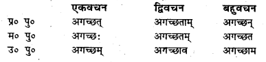 Bihar Board Class 7 Sanskrit व्याकरण धातु-रूपाणि 19