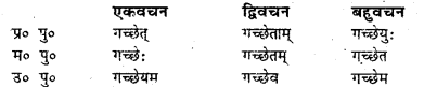 Bihar Board Class 7 Sanskrit व्याकरण धातु-रूपाणि 20