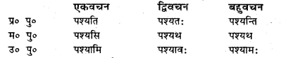Bihar Board Class 7 Sanskrit व्याकरण धातु-रूपाणि 21