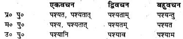 Bihar Board Class 7 Sanskrit व्याकरण धातु-रूपाणि 22