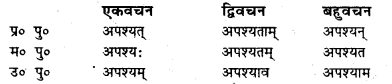 Bihar Board Class 7 Sanskrit व्याकरण धातु-रूपाणि 24