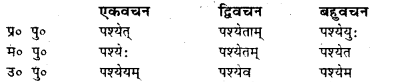 Bihar Board Class 7 Sanskrit व्याकरण धातु-रूपाणि 25