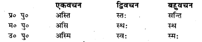 Bihar Board Class 7 Sanskrit व्याकरण धातु-रूपाणि 26