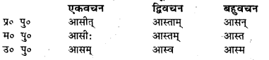 Bihar Board Class 7 Sanskrit व्याकरण धातु-रूपाणि 30