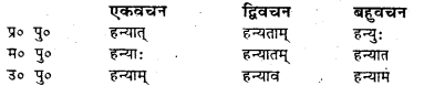 Bihar Board Class 7 Sanskrit व्याकरण धातु-रूपाणि 36