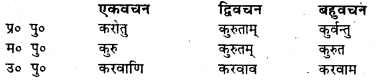 Bihar Board Class 7 Sanskrit व्याकरण धातु-रूपाणि 38