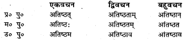Bihar Board Class 7 Sanskrit व्याकरण धातु-रूपाणि 4