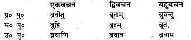 Bihar Board Class 7 Sanskrit व्याकरण धातु-रूपाणि 43